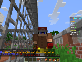A member of the research team playing on the Happy-HG server. Screenshot by Meghan Overbury